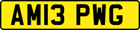 AM13PWG