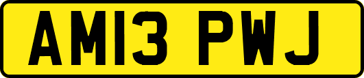 AM13PWJ