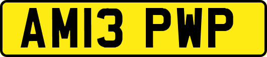 AM13PWP