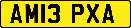 AM13PXA