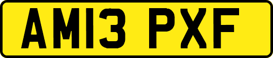AM13PXF