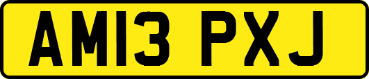 AM13PXJ