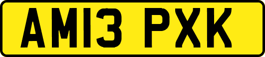AM13PXK