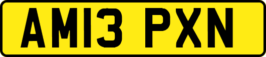 AM13PXN
