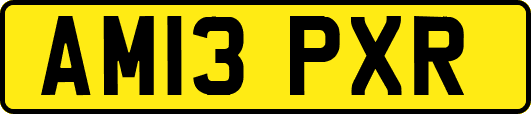 AM13PXR