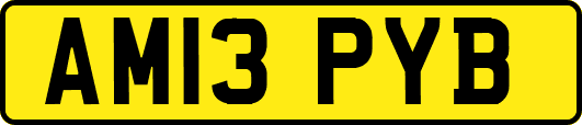 AM13PYB