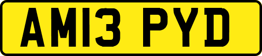 AM13PYD