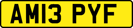 AM13PYF