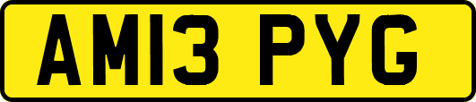 AM13PYG