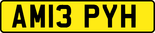 AM13PYH