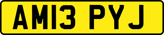 AM13PYJ