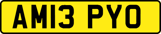 AM13PYO
