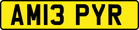 AM13PYR