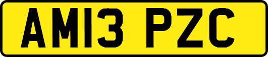 AM13PZC