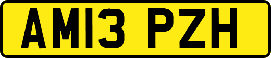 AM13PZH
