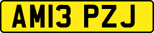AM13PZJ