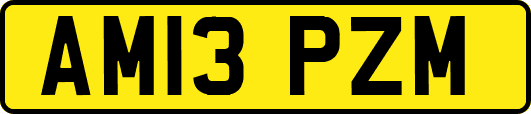 AM13PZM