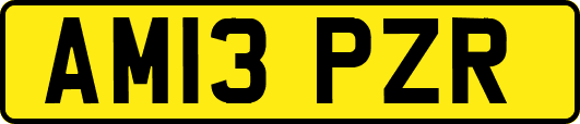 AM13PZR