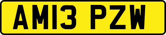 AM13PZW