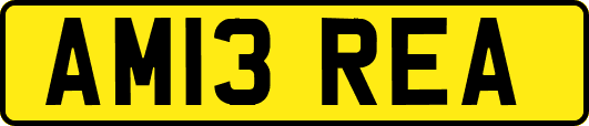 AM13REA