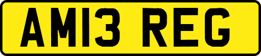 AM13REG