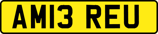 AM13REU