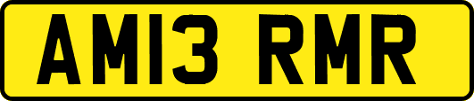 AM13RMR