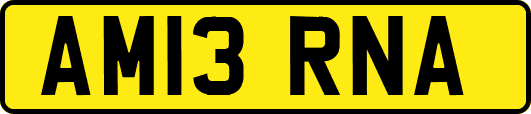 AM13RNA