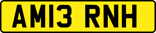 AM13RNH
