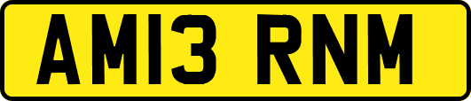 AM13RNM
