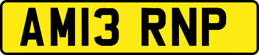 AM13RNP