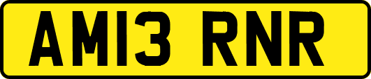 AM13RNR