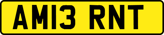 AM13RNT
