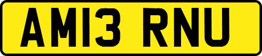 AM13RNU