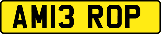 AM13ROP