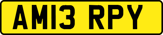 AM13RPY