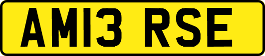AM13RSE