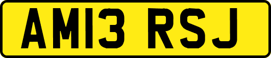 AM13RSJ