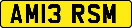 AM13RSM