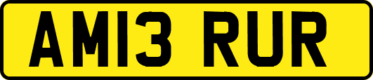 AM13RUR
