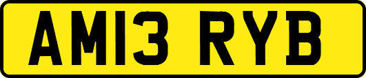 AM13RYB