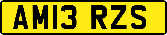 AM13RZS