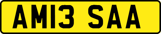 AM13SAA