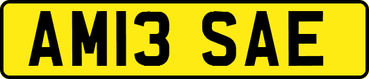 AM13SAE