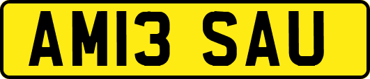 AM13SAU