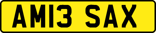AM13SAX