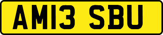 AM13SBU
