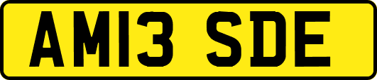 AM13SDE