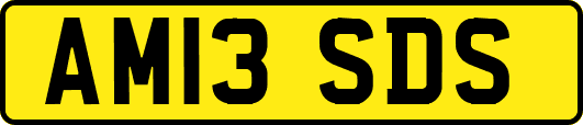 AM13SDS