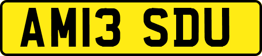 AM13SDU